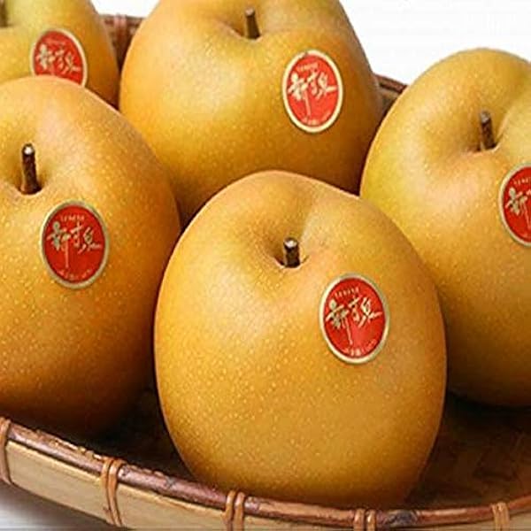 Amazon.co.jp: 鳥取産 梨 品種「新甘泉」秀品 5kg箱入 数量は14